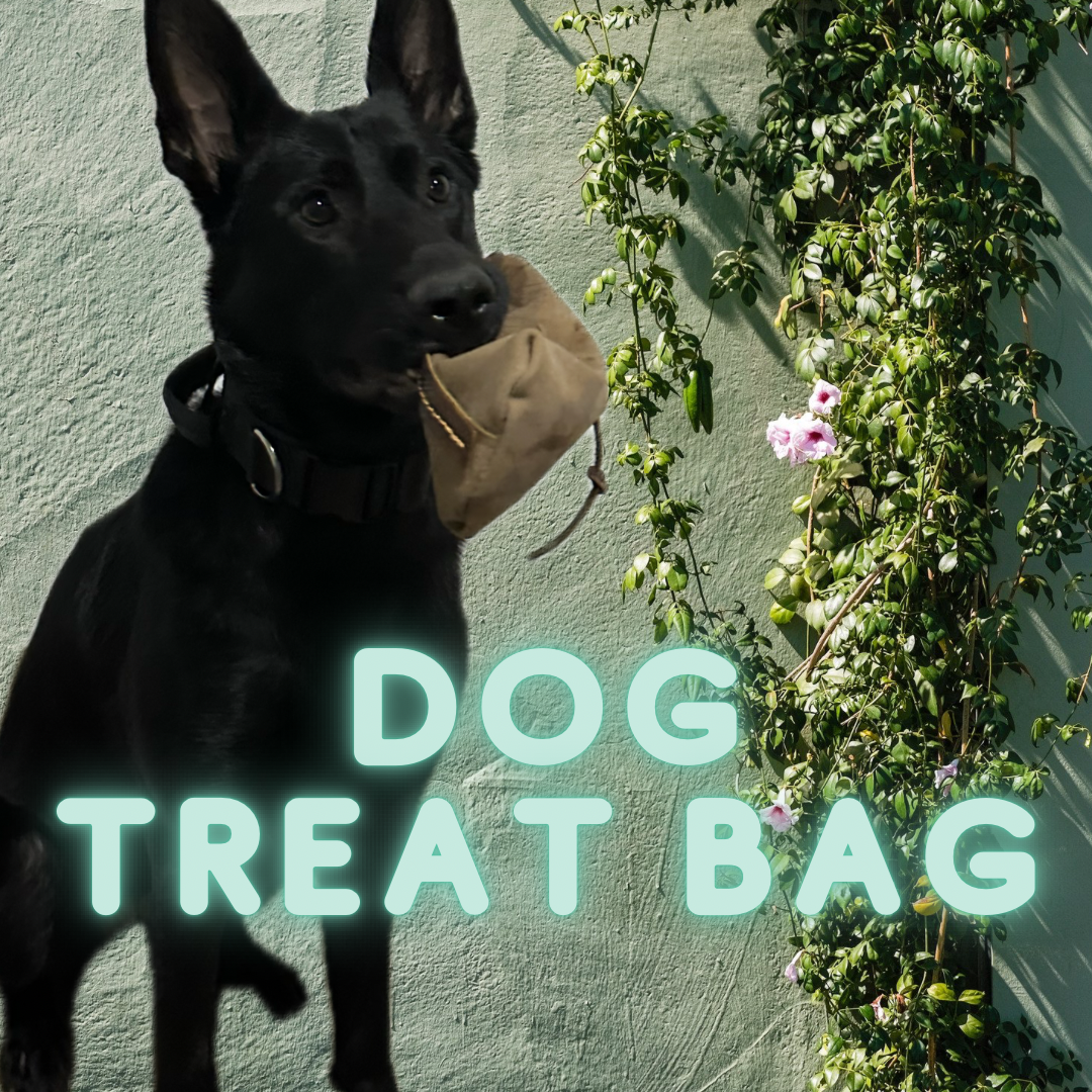 The Athena Dog Training Treat Bag